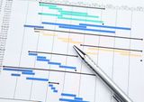 Project management with gantt chart Micro